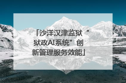 沙洋汉津监狱“狱政AI系统”创新管理服务效能
