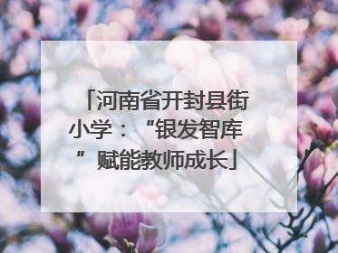 河南省开封县街小学：“银发智库”赋能教师成长