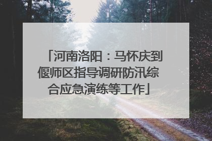 河南洛阳：马怀庆到偃师区指导调研防汛综合应急演练等工作