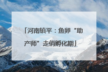 河南镇平：鱼卵“助产师”走俏孵化期