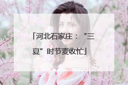 河北石家庄：“三夏”时节麦收忙