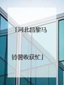 河北昌黎马铃薯收获忙