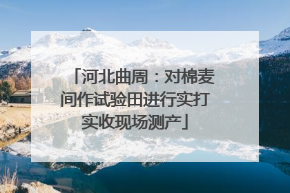 河北曲周：对棉麦间作试验田进行实打实收现场测产