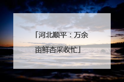 河北顺平：万余亩鲜杏采收忙