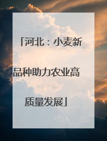 河北：小麦新品种助力农业高质量发展