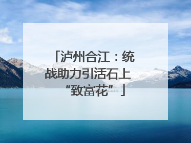 泸州合江：统战助力引活石上“致富花”