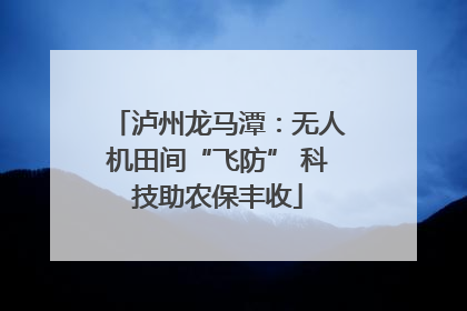 泸州龙马潭：无人机田间“飞防” 科技助农保丰收