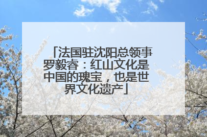 法国驻沈阳总领事罗毅睿：红山文化是中国的瑰宝，也是世界文化遗产