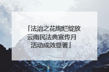 法治之花绚烂绽放 云南民法典宣传月活动成效显著
