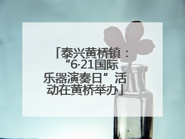 泰兴黄桥镇：“6·21国际乐器演奏日”活动在黄桥举办