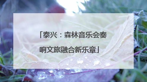 泰兴：森林音乐会奏响文旅融合新乐章