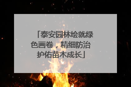 泰安园林绘就绿色画卷，精细防治护佑苗木成长