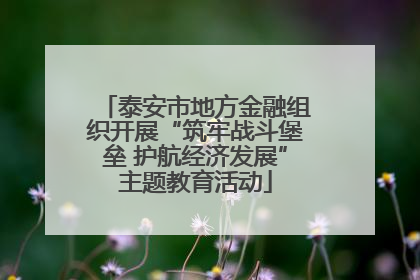 泰安市地方金融组织开展“筑牢战斗堡垒 护航经济发展”主题教育活动