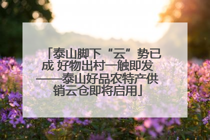 泰山脚下“云”势已成 好物出村一触即发——泰山好品农特产供销云仓即将启用