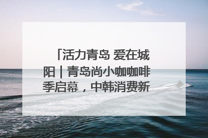 活力青岛 爱在城阳｜青岛尚小咖咖啡季启幕，中韩消费新场景点燃夏日热情