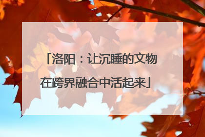 洛阳：让沉睡的文物在跨界融合中活起来