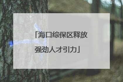 海口综保区释放强劲人才引力