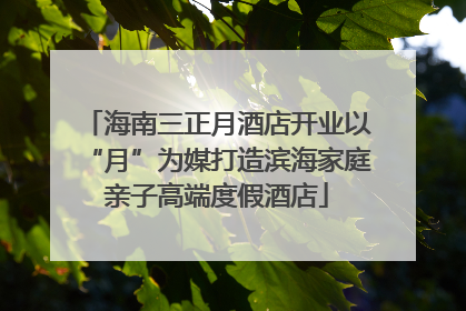 海南三正月酒店开业以“月”为媒打造滨海家庭亲子高端度假酒店