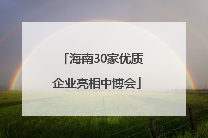 海南30家优质企业亮相中博会