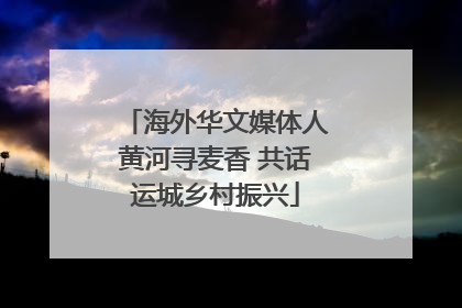 海外华文媒体人黄河寻麦香 共话运城乡村振兴