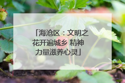 海沧区：文明之花开遍城乡 精神力量滋养心灵