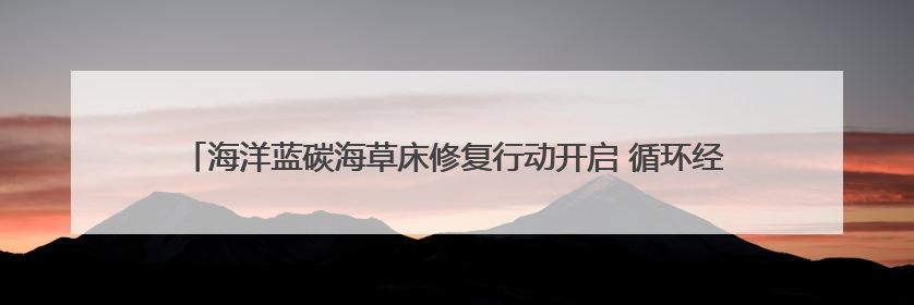 海洋蓝碳海草床修复行动开启 循环经济产业助力低碳社会建设丨新经济观察