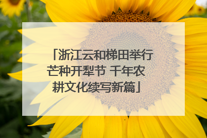 浙江云和梯田举行芒种开犁节 千年农耕文化续写新篇