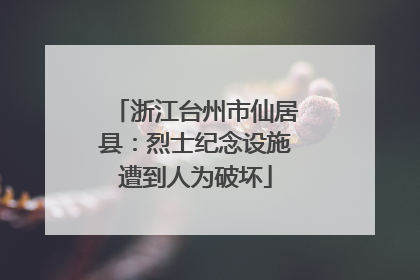 浙江台州市仙居县：烈士纪念设施遭到人为破坏