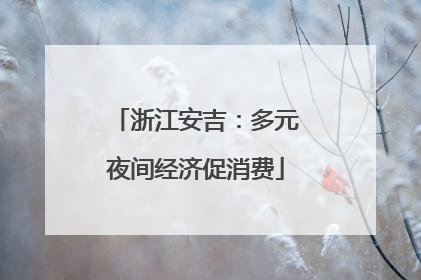 浙江安吉：多元夜间经济促消费