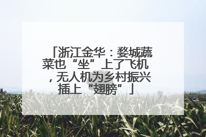 浙江金华：婺城蔬菜也“坐”上了飞机，无人机为乡村振兴插上“翅膀”