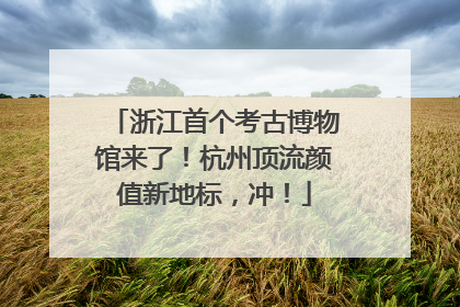 浙江首个考古博物馆来了！杭州顶流颜值新地标，冲！