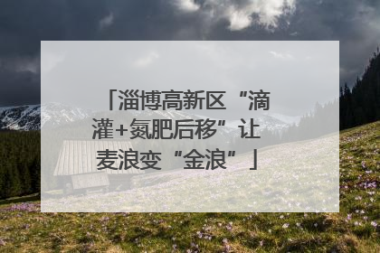 淄博高新区“滴灌+氮肥后移”让麦浪变“金浪”