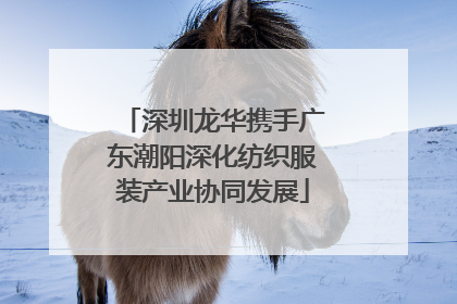 深圳龙华携手广东潮阳深化纺织服装产业协同发展