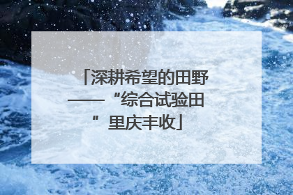 深耕希望的田野——“综合试验田”里庆丰收