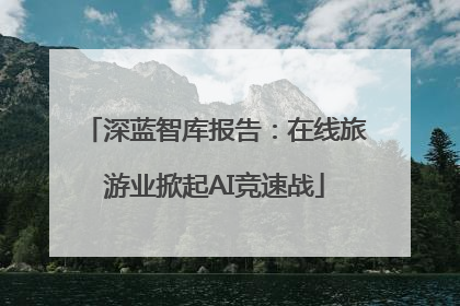 深蓝智库报告：在线旅游业掀起AI竞速战