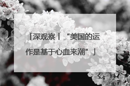 深观察丨“美国的运作是基于心血来潮”