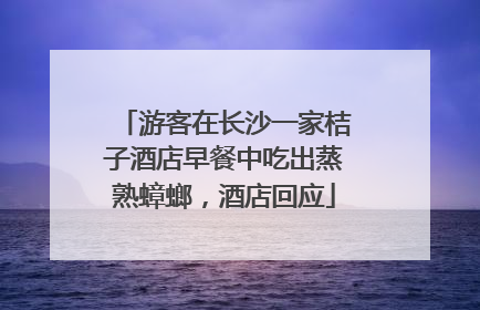 游客在长沙一家桔子酒店早餐中吃出蒸熟蟑螂，酒店回应