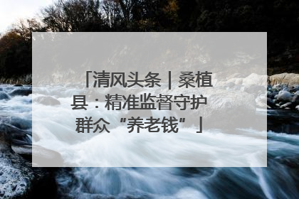 清风头条｜桑植县：精准监督守护群众“养老钱”