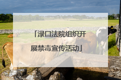 渌口法院组织开展禁毒宣传活动