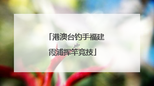 港澳台钓手福建霞浦挥竿竞技