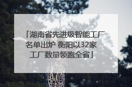 湖南省先进级智能工厂名单出炉 衡阳以32家工厂数量领跑全省