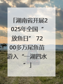 湖南省开展2025年全国“放鱼日” 7200多万尾鱼苗游入“一湖四水”