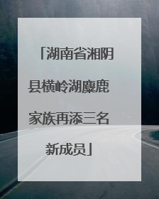 湖南省湘阴县横岭湖麋鹿家族再添三名新成员
