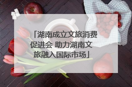 湖南成立文旅消费促进会 助力湖南文旅融入国际市场