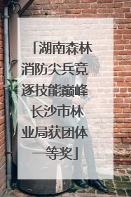 湖南森林消防尖兵竞逐技能巅峰 长沙市林业局获团体一等奖