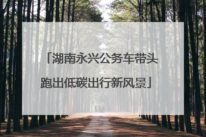 湖南永兴公务车带头跑出低碳出行新风景