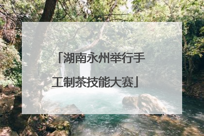 湖南永州举行手工制茶技能大赛