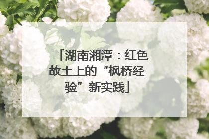 湖南湘潭：红色故土上的“枫桥经验”新实践