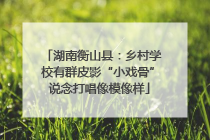 湖南衡山县：乡村学校有群皮影“小戏骨” 说念打唱像模像样