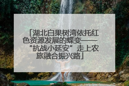 湖北白果树湾依托红色资源发展的蝶变——“抗战小延安”走上农旅融合振兴路